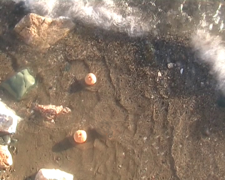 Stillen, breastfeeding the sea, Elif Saglam
