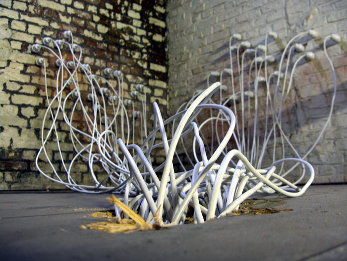Feed, 2006 Elif Saglam