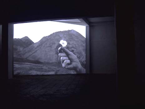 Morbus Schlatter, 2007 @ Lokaal01 Antwerp, Elif Saglam