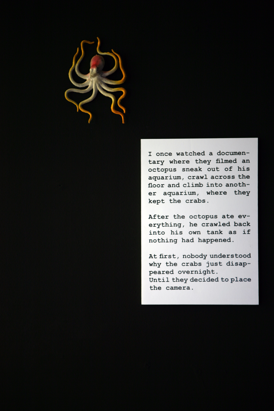 Elif Saglam, octopus escape, 2008